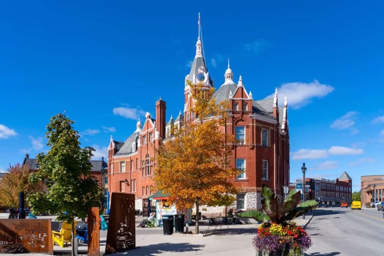 The Rise of Remote Communities Driven by Creative Workers